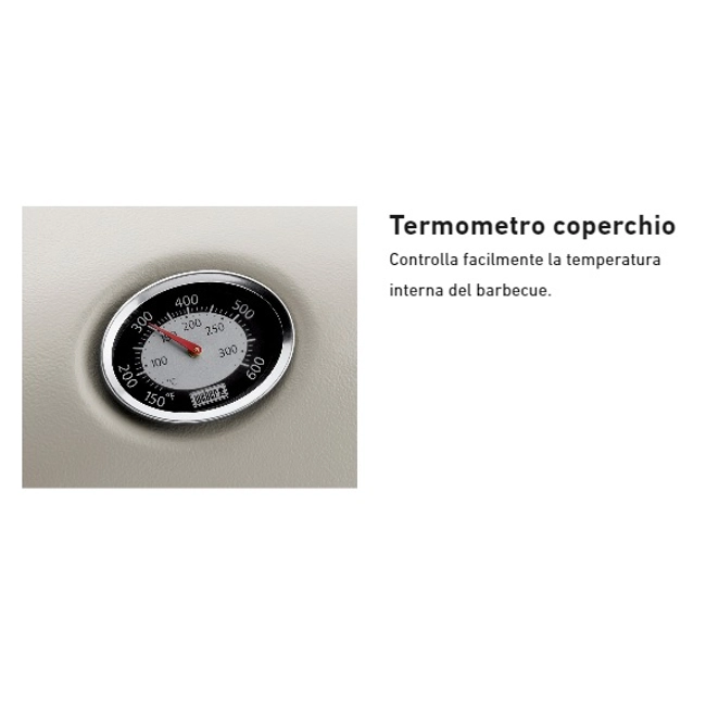 Vendita online Barbecue a gas Weber Q 2200 con supporto black